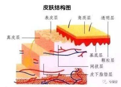 揭開(kāi)角質(zhì)的神秘面紗 去角質(zhì)會(huì)讓皮膚變薄嗎？